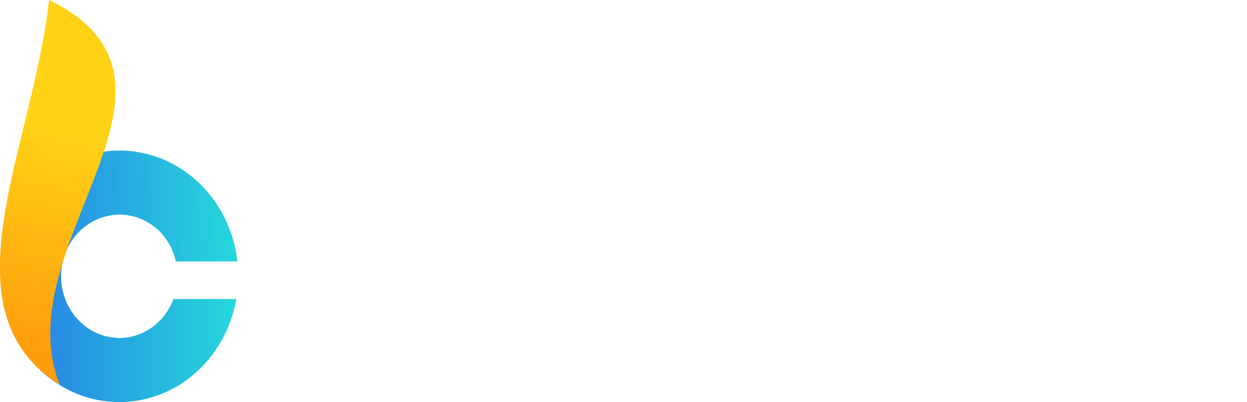 BrainCraft Limited